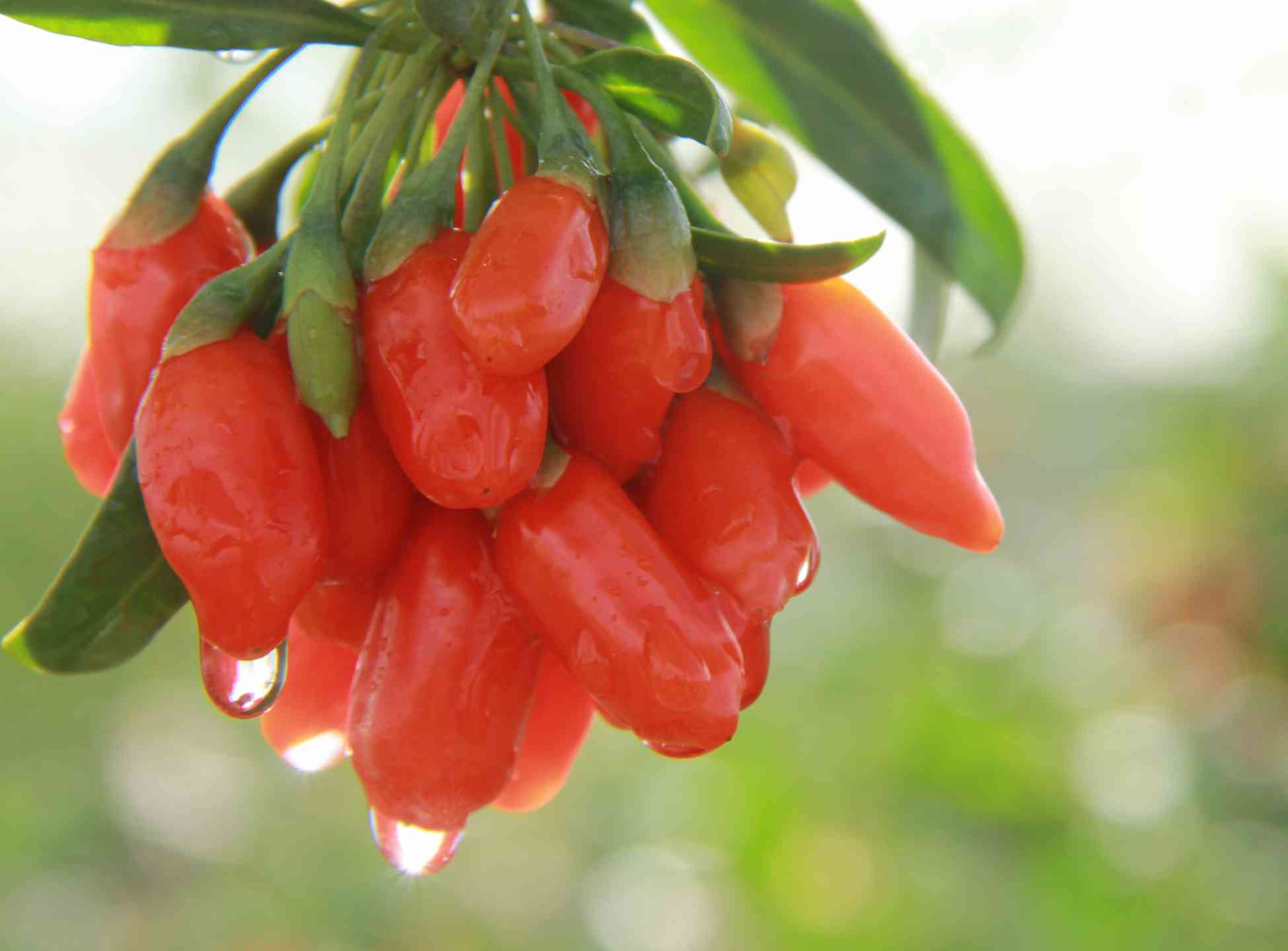 银川玺赞专营店渠道下沉交流